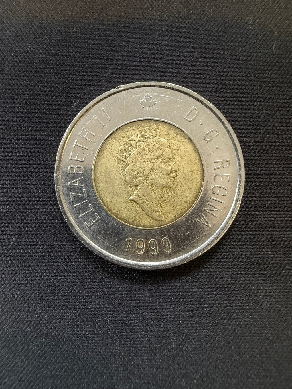 1999 Nunavut toonie obverse, representative circulated coin