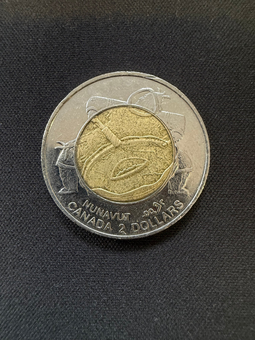 1999 Nunavut toonie reverse, representative circulated coin