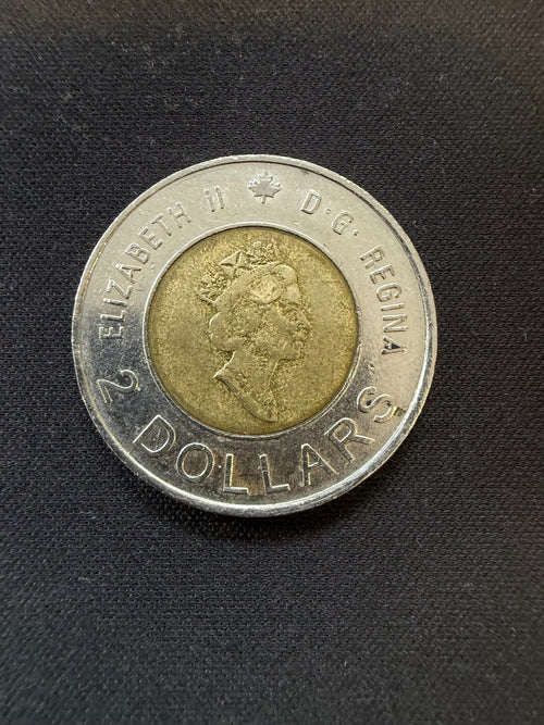 2000 Knowledge toonie obverse, representative circulated coin