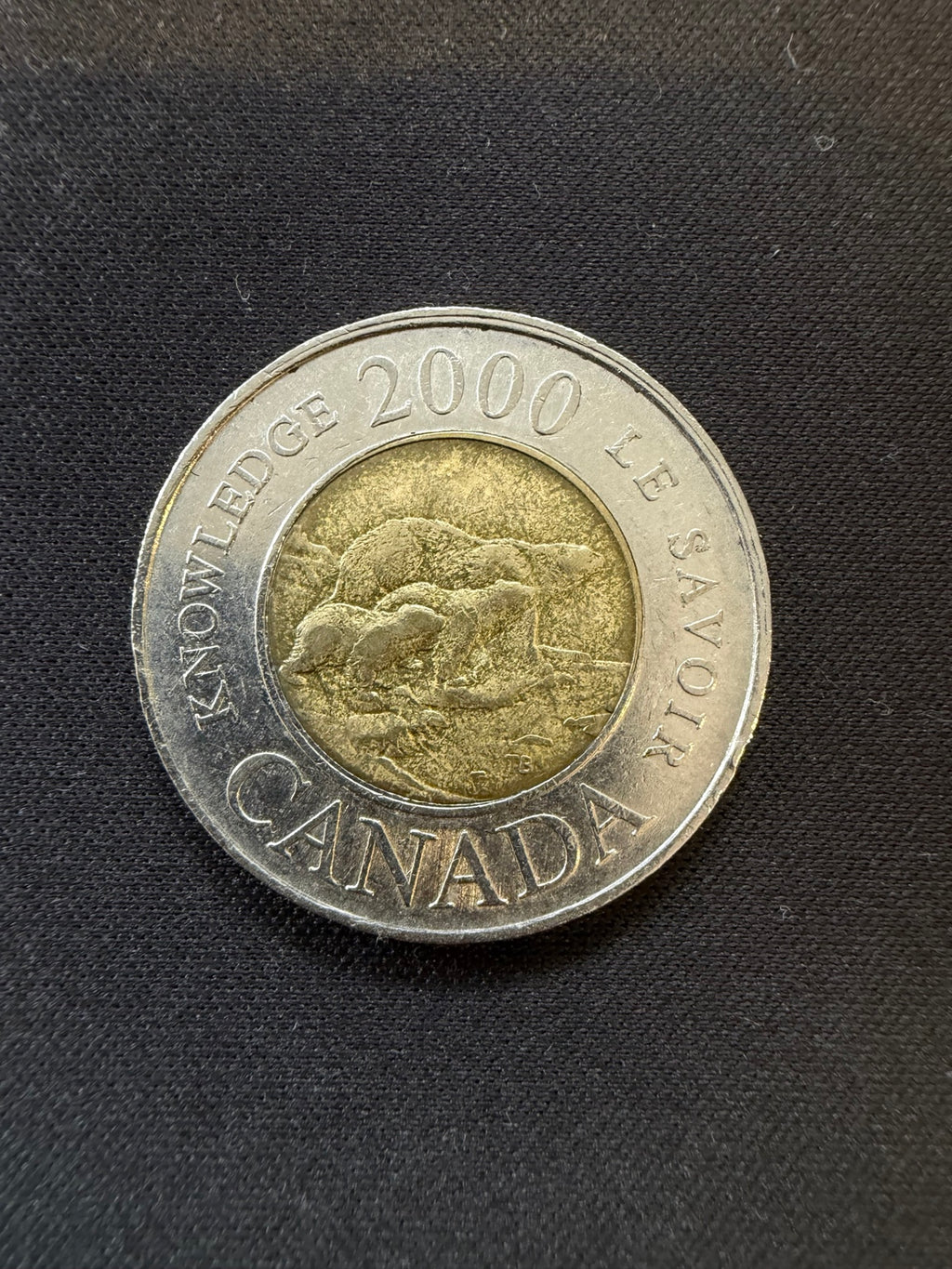 2000 Knowledge toonie reverse, representative circulated coin