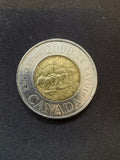 2000 Knowledge toonie reverse, representative circulated coin