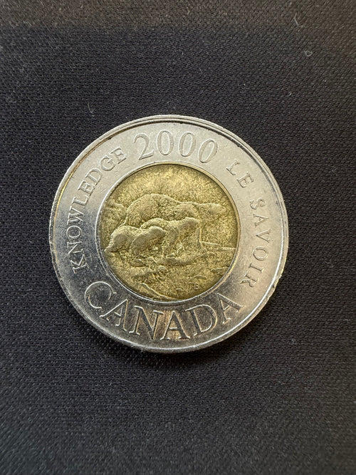 2000 Knowledge toonie reverse, representative circulated coin