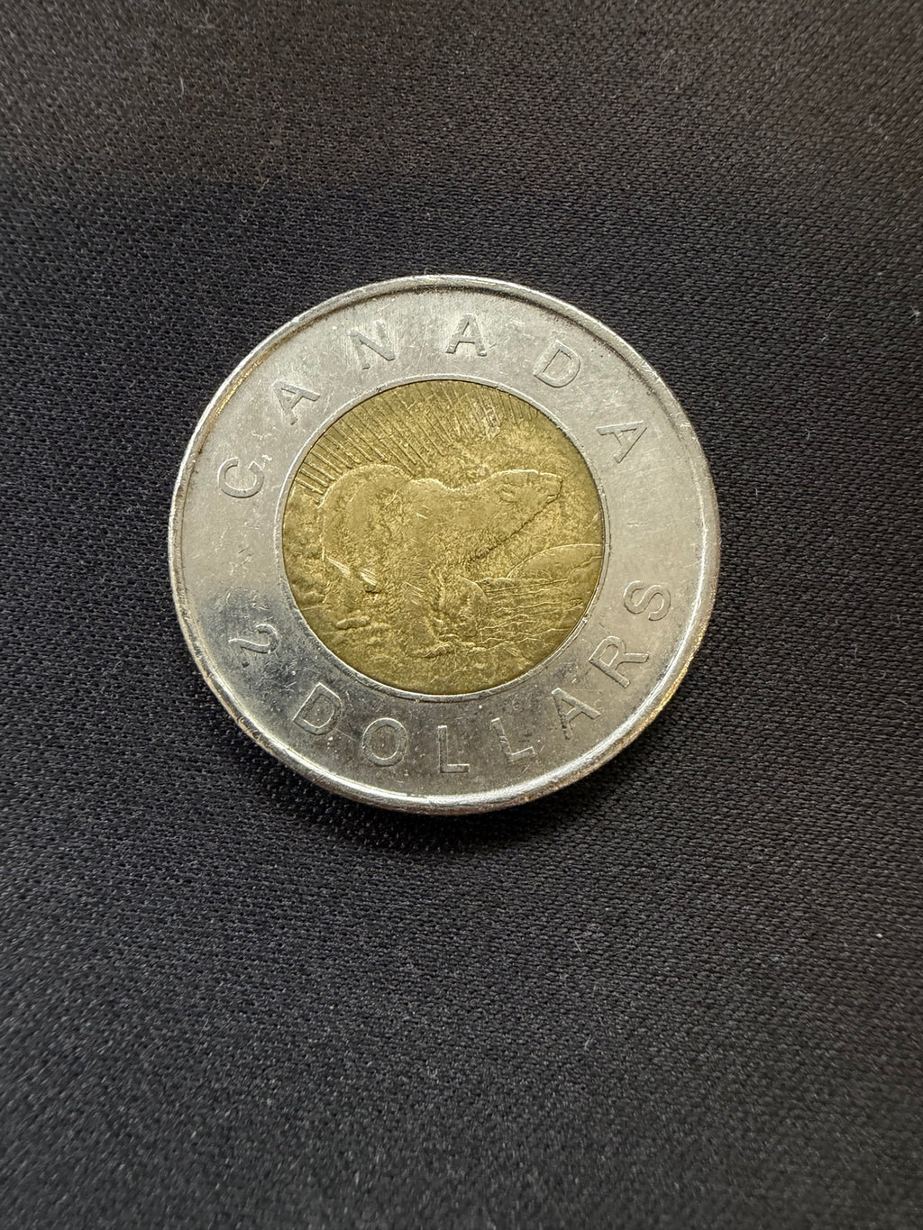 Representative 2006 Churchill circulated toonie, reverse