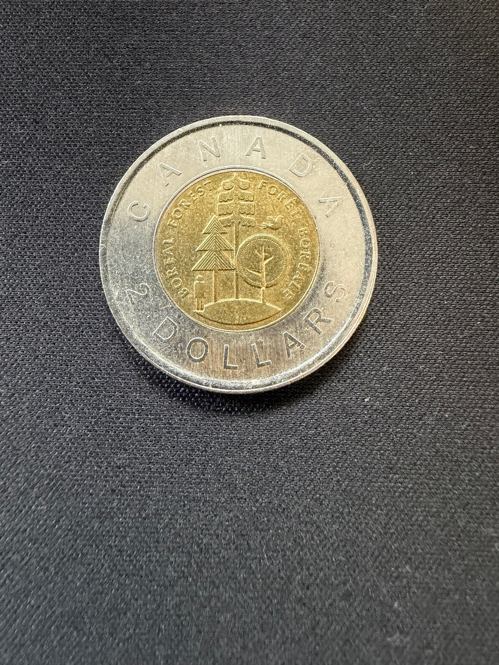 Representative 2011 Boreal Forest circulated toonie, reverse