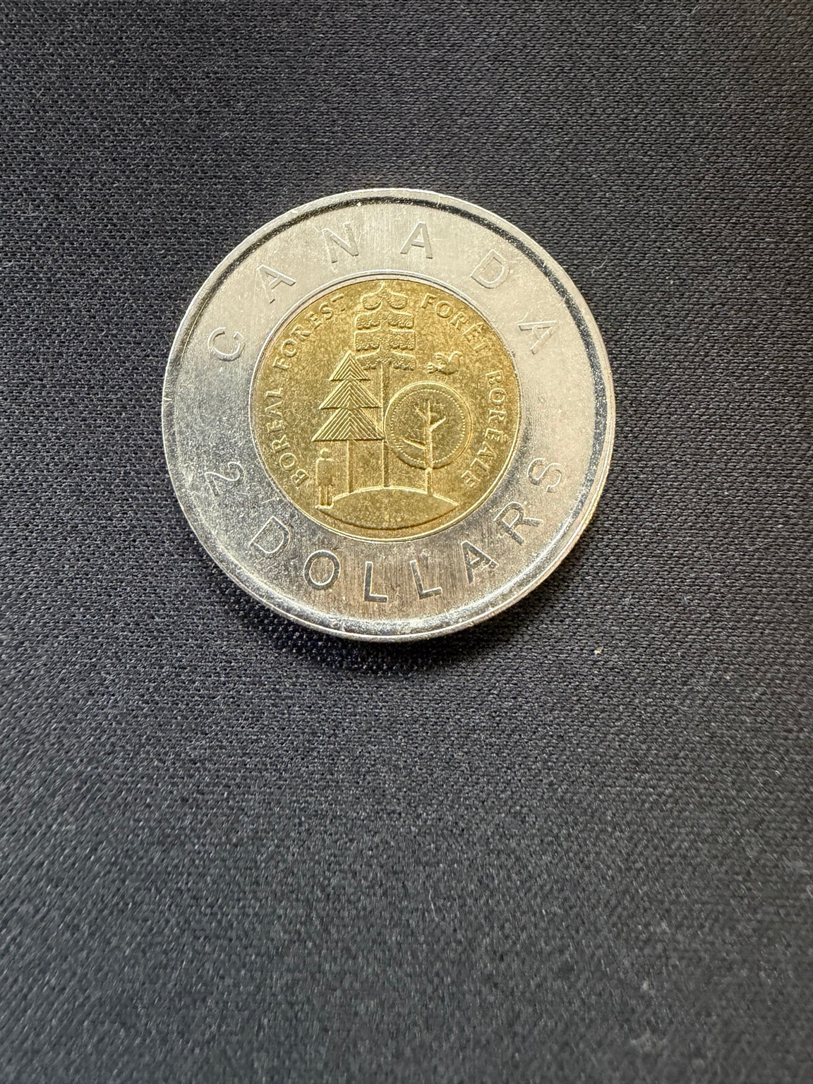 Representative 2011 Boreal Forest circulated toonie, reverse
