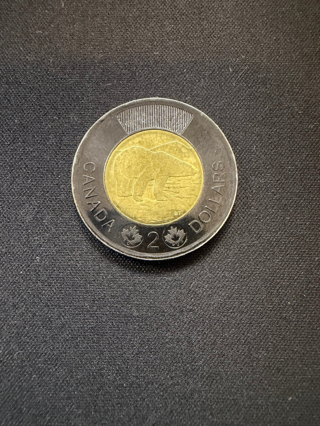Representative 2022 Queen Elizabeth II tribute circulated toonie, reverse