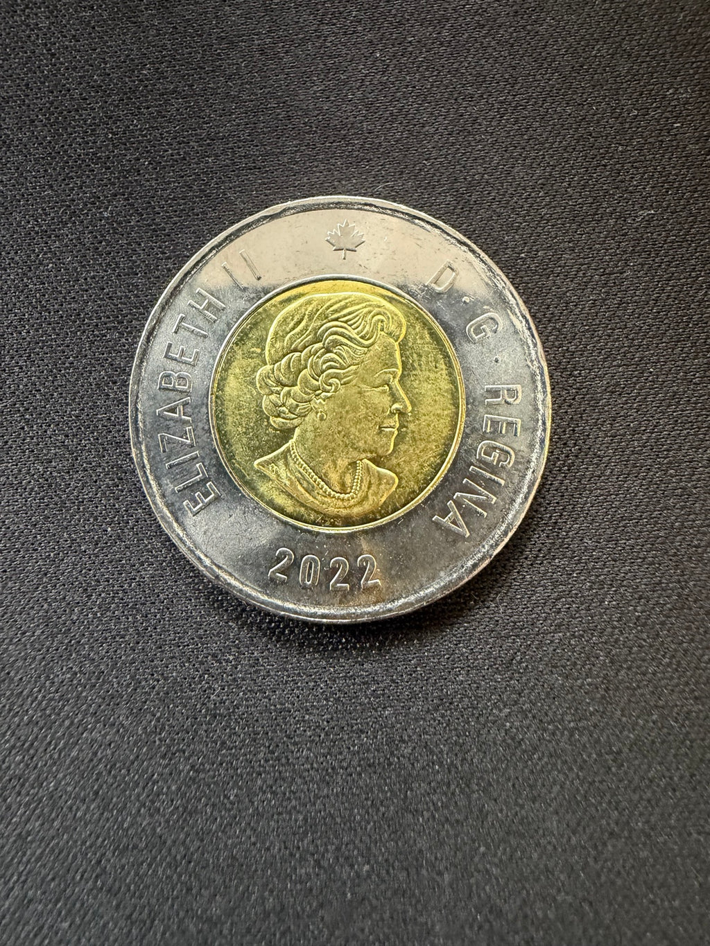 Representative 2022 Summit Series colourized circulated toonie, obverse