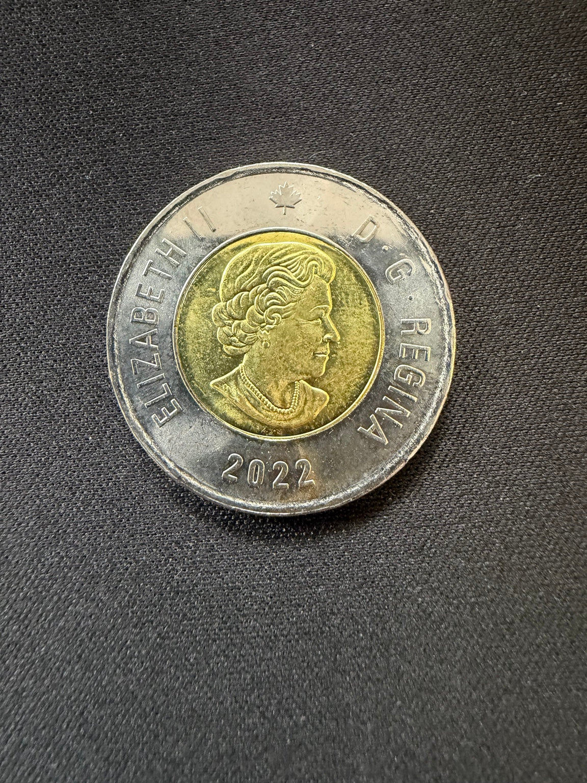 Representative 2022 Summit Series colourized circulated toonie, obverse