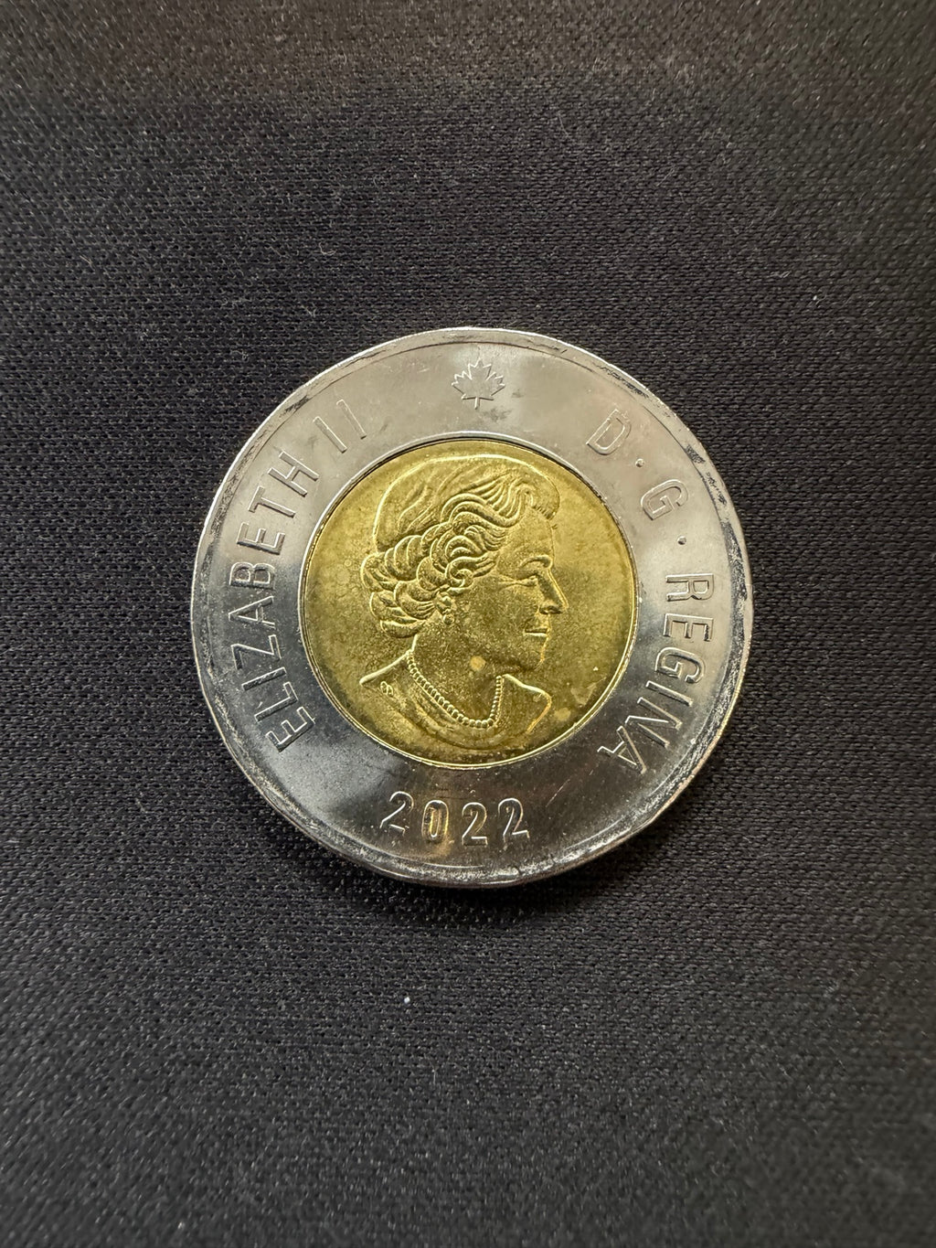 Representative 2022 Summit Series uncolourized circulated toonie, obverse