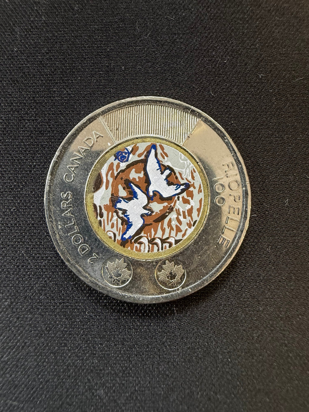 2023 Riopelle colourized toonie reverse, representative circulated coin