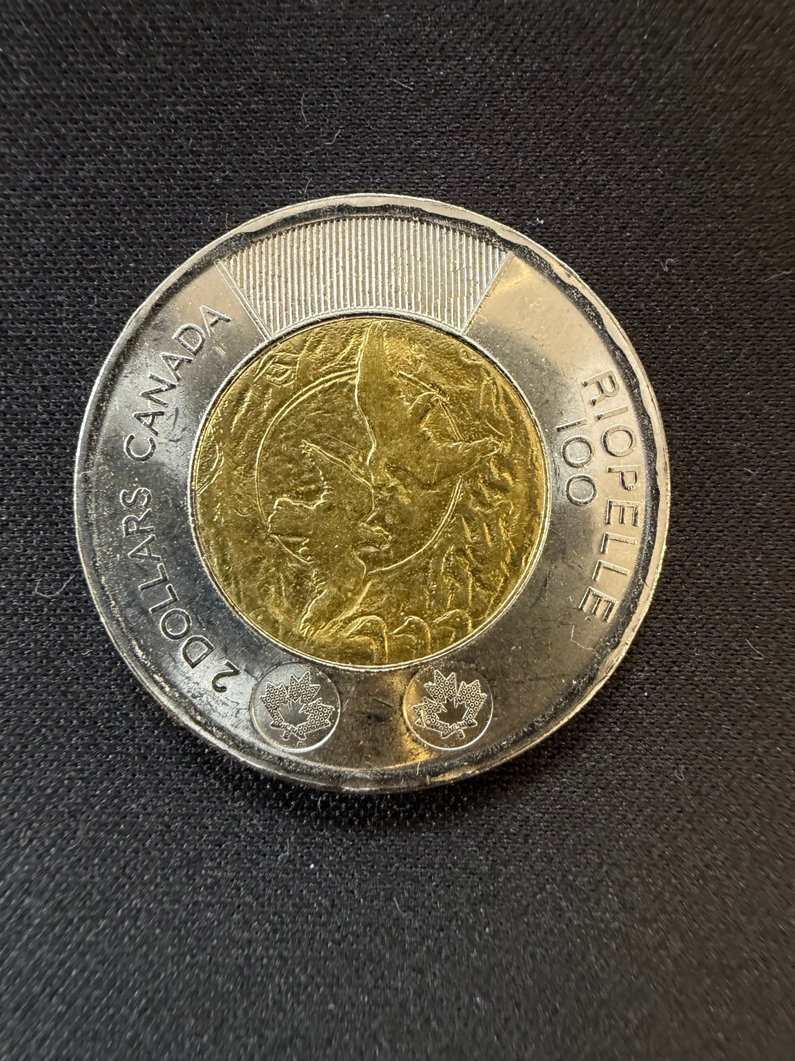 2023 Riopelle uncolourized toonie reverse, representative circulated coin