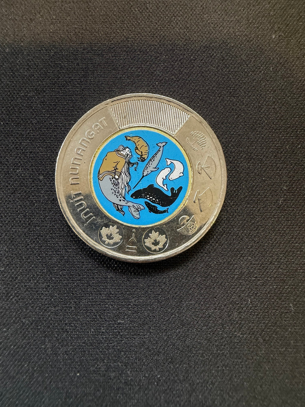 2024 Inuit Nunangat colourized toonie reverse, representative circulated coin