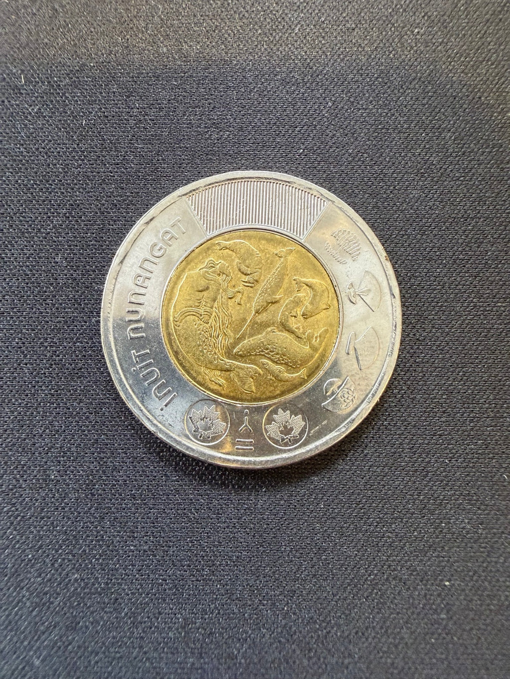 2024 Inuit Nunangat uncolourized toonie reverse, representative circulated coin