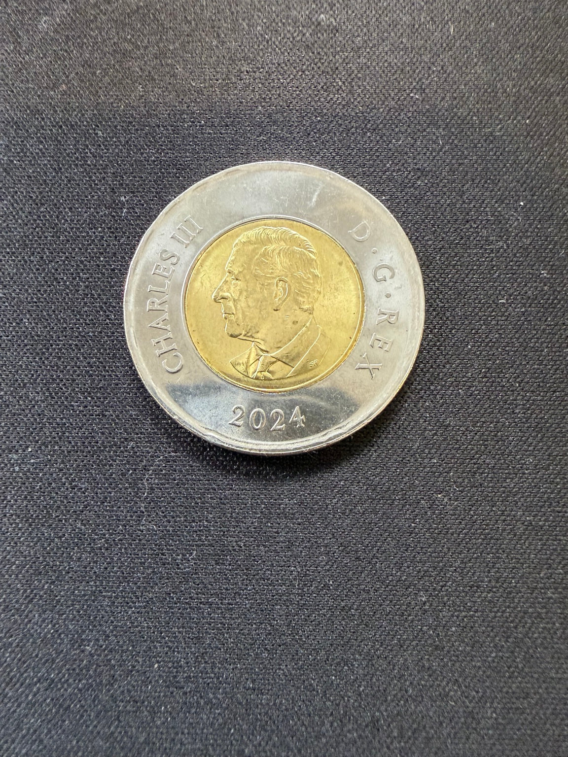 Representative 2024 RCAF colourized circulated toonie, obverse