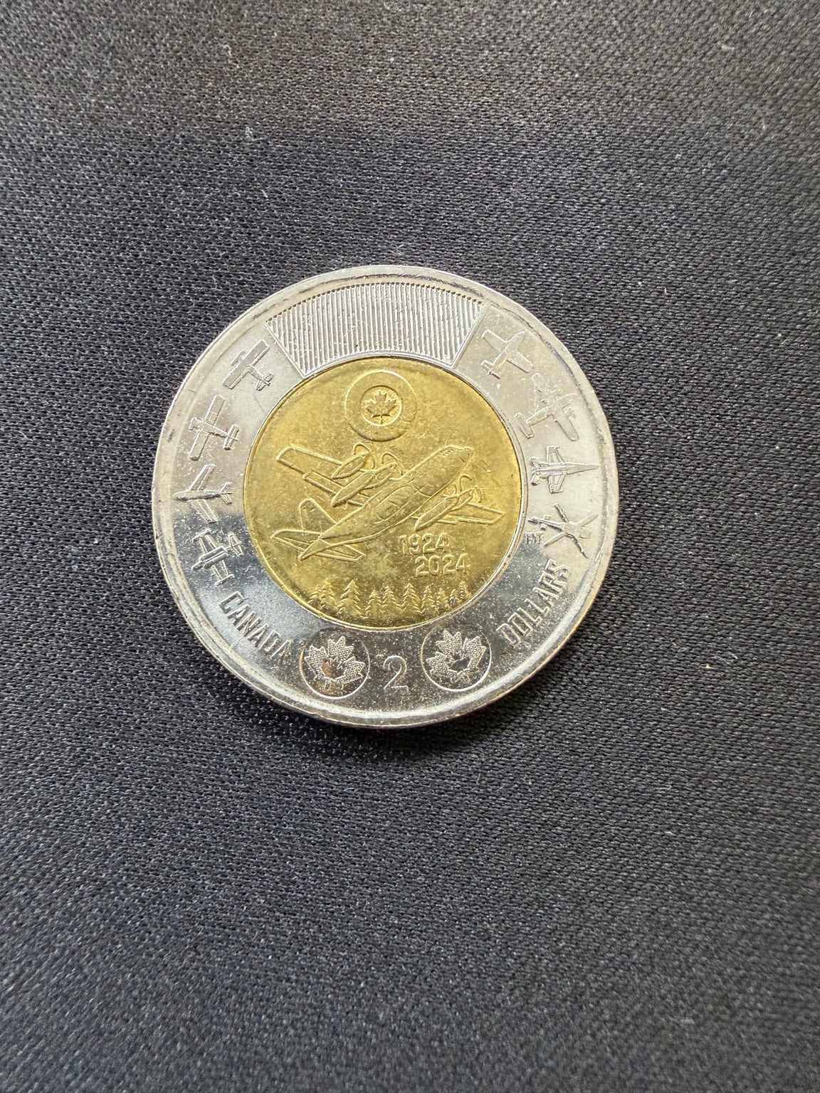 Representative 2024 RCAF uncolourized circulated toonie, reverse