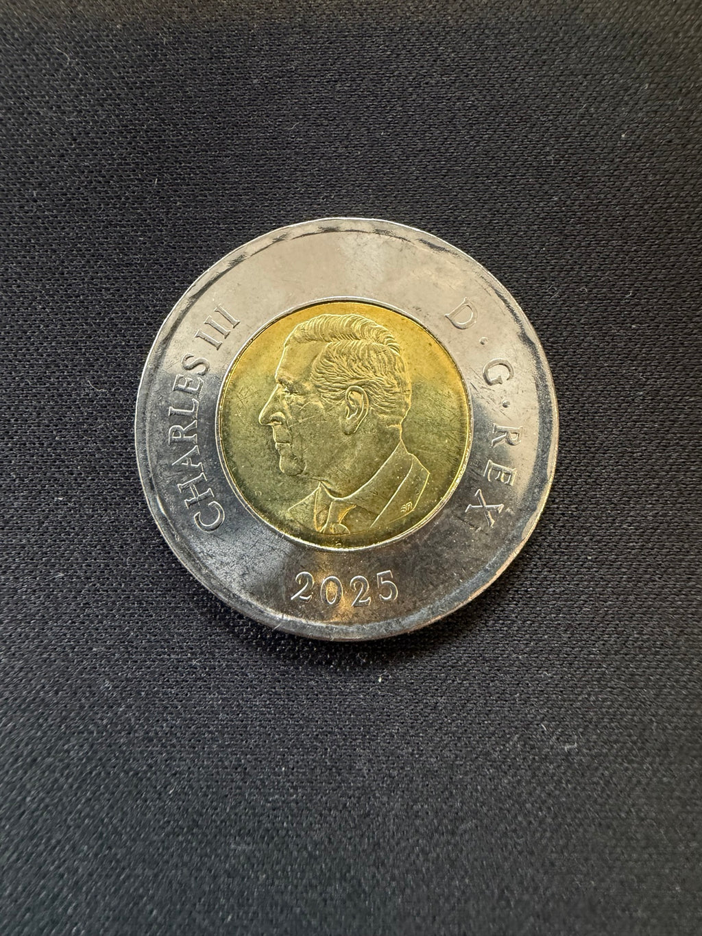 2025 Daphne Odjig uncolourized toonie obverse, representative circulated coin