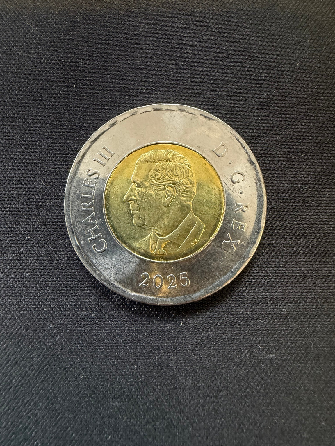 2025 Daphne Odjig uncolourized toonie obverse, representative circulated coin