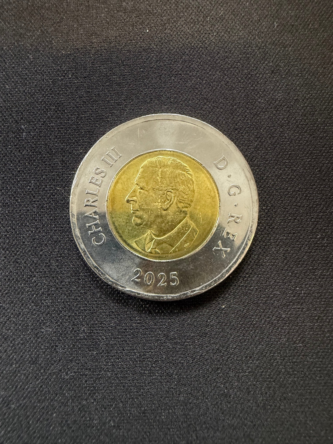 Representative 2025 Tomb of the Unknown Soldier colourized circulated toonie, obverse