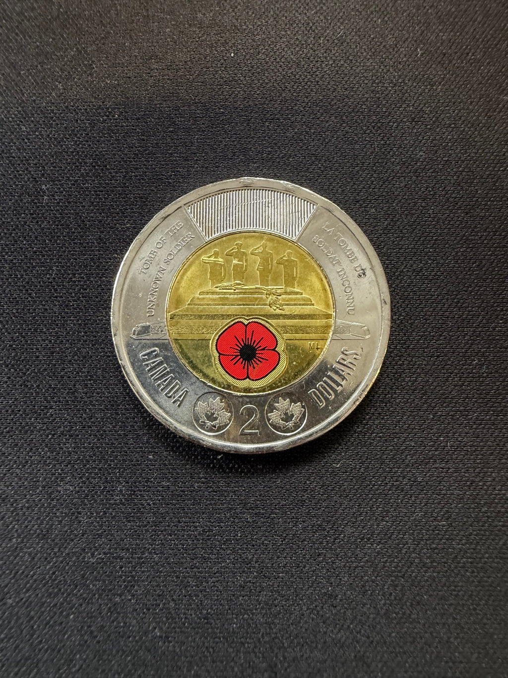 Representative 2025 Tomb of the Unknown Soldier colourized circulated toonie, reverse