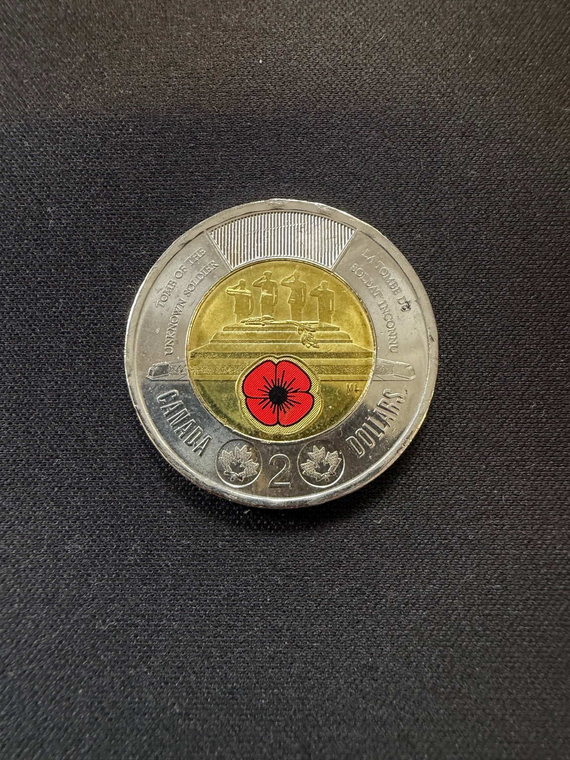 Representative 2025 Tomb of the Unknown Soldier colourized circulated toonie, reverse