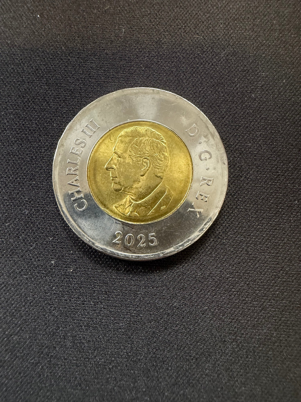 Representative 2025 Tomb of the Unknown Soldier uncolourized circulated toonie, obverse